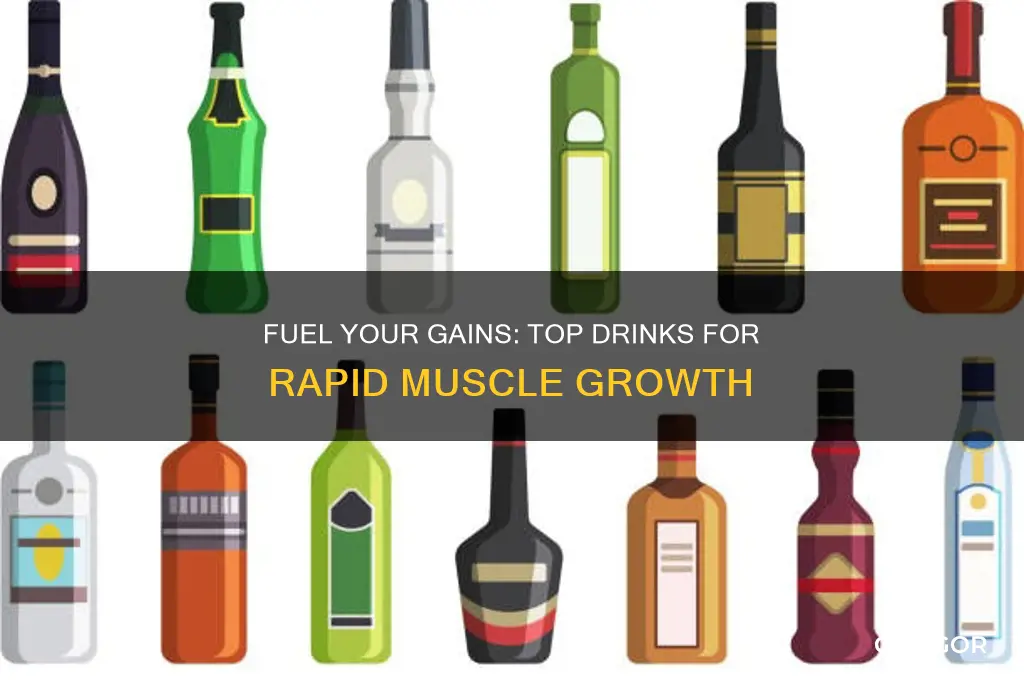 what to drink to gain muscle fast