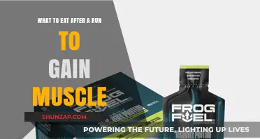 Post-Run Muscle Fuel: Optimal Foods for Recovery and Growth