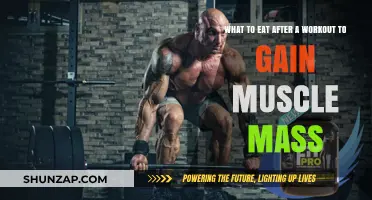 Post-Workout Muscle Fuel: Optimal Foods for Mass Gain
