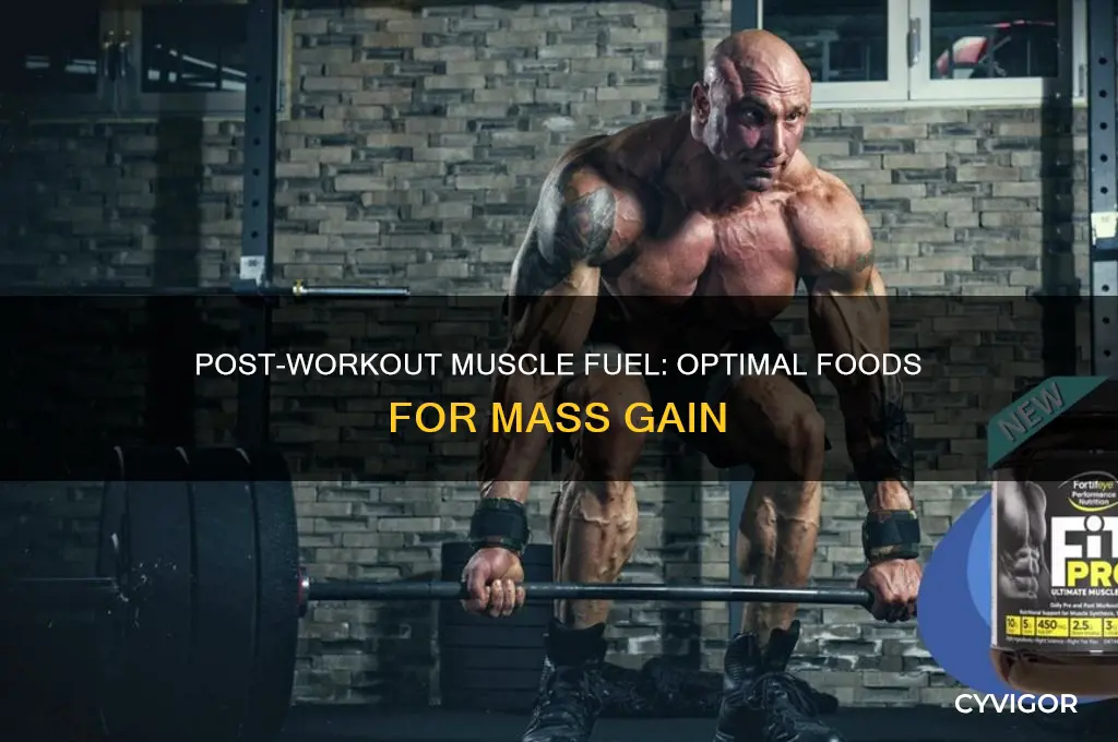 what to eat after a workout to gain muscle mass