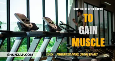 Post-Cardio Muscle Fuel: Optimal Foods for Recovery and Growth