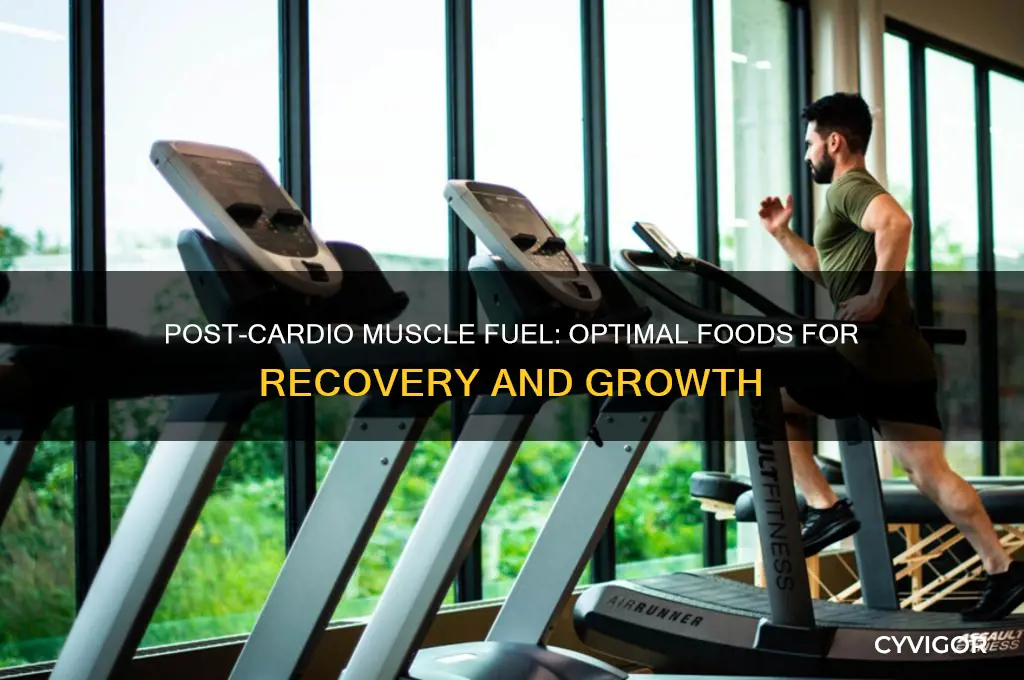 what to eat after cardio to gain muscle