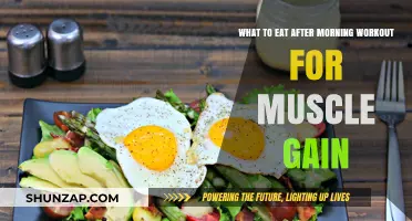 Post-Workout Fuel: Best Muscle-Building Breakfasts After Morning Training