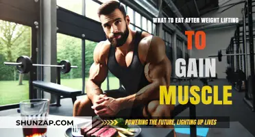 Post-Workout Muscle Fuel: Best Foods for Strength and Recovery