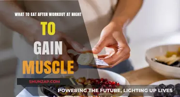 Nighttime Muscle Fuel: Best Post-Workout Meals for Muscle Gain