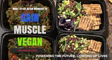 Vegan Muscle-Building Meals: Post-Workout Nutrition for Optimal Growth