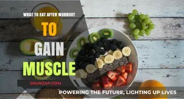 Post-Workout Muscle Fuel: Optimal Foods for Strength and Growth