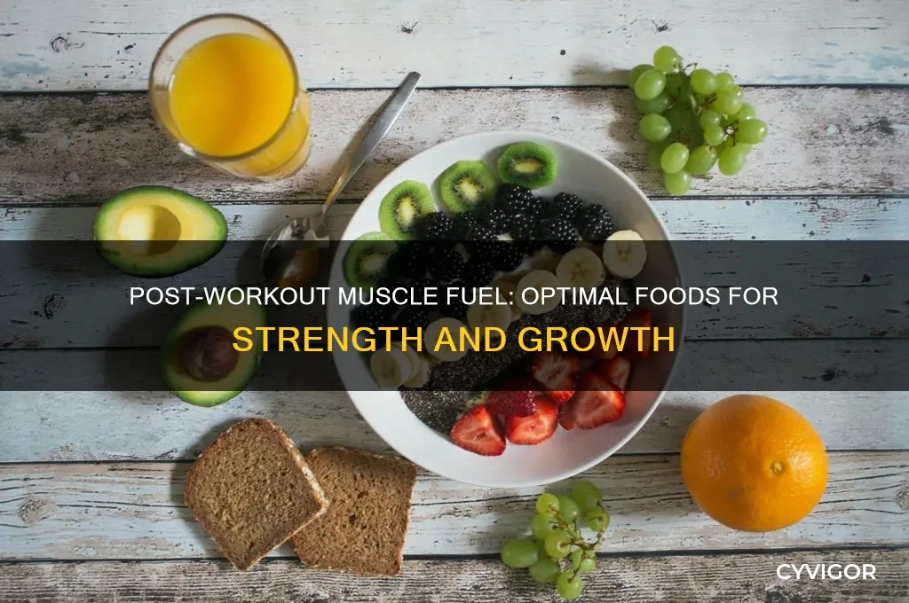 what to eat after workout to gain muscle