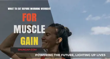 Fuel Your Morning Workout: Best Pre-Training Meals for Muscle Gain