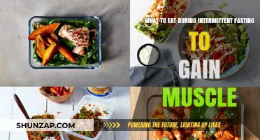 Muscle-Building Meals: Smart Eating Strategies for Intermittent Fasting Success