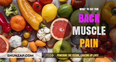 Nutrition Tips to Ease and Prevent Back Muscle Pain