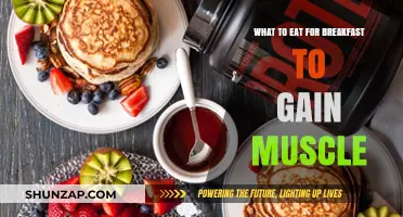 Muscle-Building Breakfasts: Fuel Your Gains with These Protein-Packed Meals