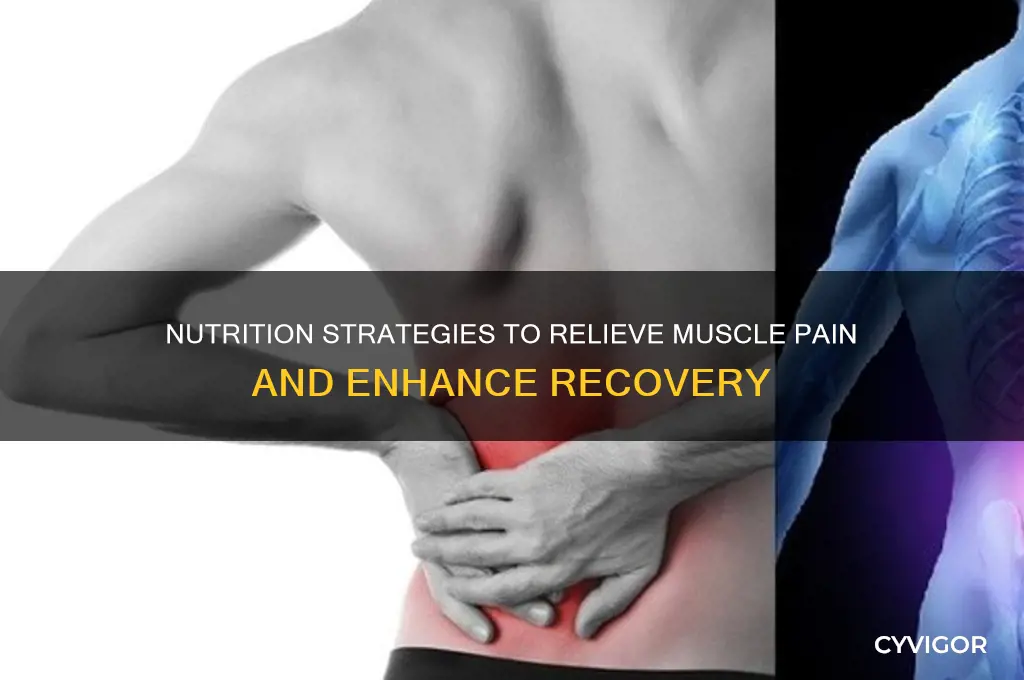 what to eat for muscle pain
