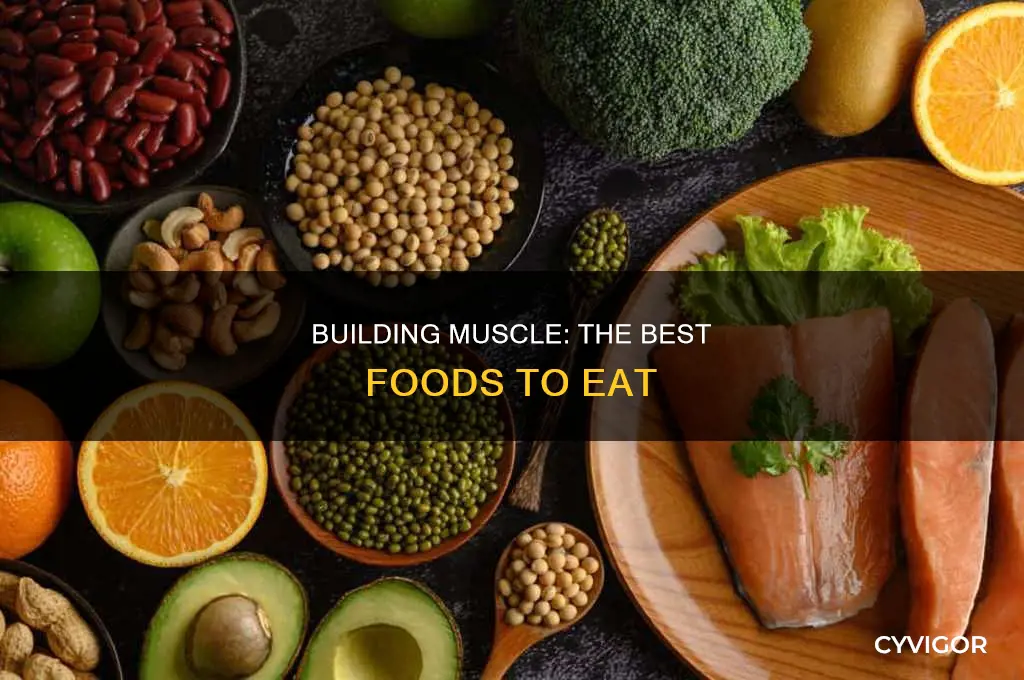 what to eat for muscle
