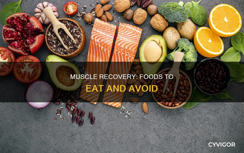 what to eat muscle recovery