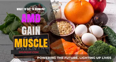 Fuel Your Body: Fat-Burning, Muscle-Building Foods for Optimal Results