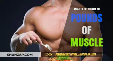 Muscle-Building Diet: Foods to Pack on 10 Pounds of Mass