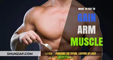 Fuel Your Arm Gains: Top Muscle-Building Foods to Eat