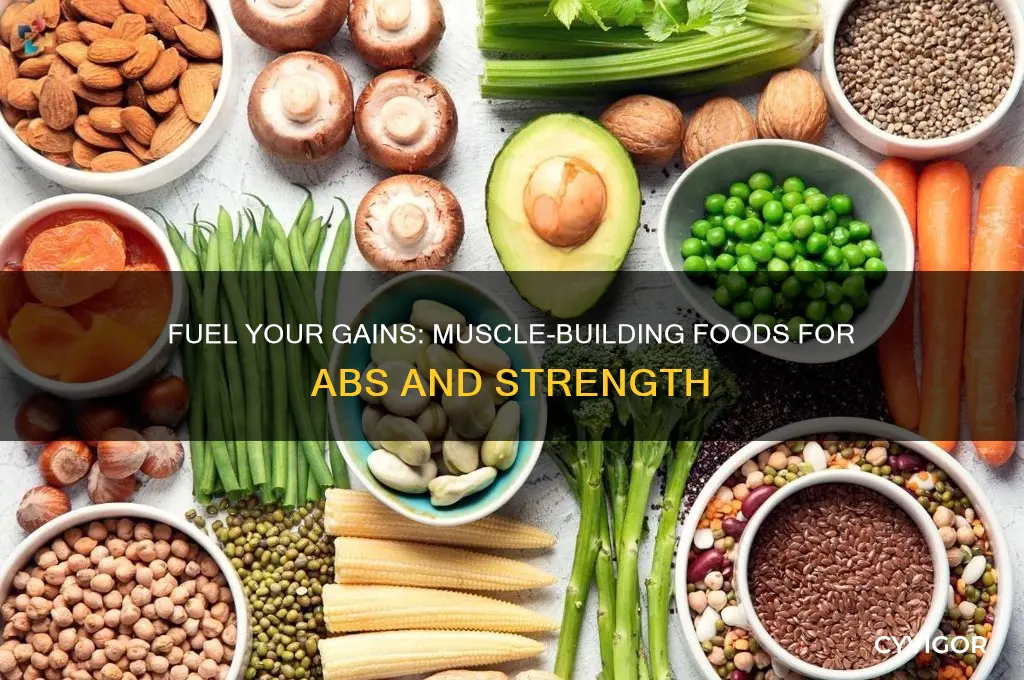 what to eat to gain muscle and abs