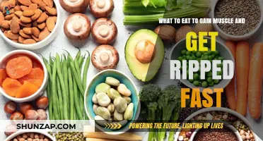 Fuel Your Gains: Muscle-Building Foods for a Ripped Physique Fast