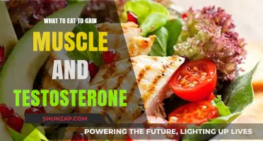 Muscle-Building Foods to Boost Testosterone and Strength Naturally