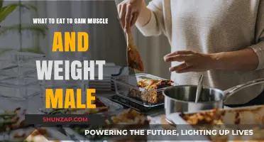 Muscle-Building Diet: Optimal Foods for Male Weight Gain