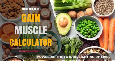 Calculate Your Muscle-Building Diet: Optimal Foods for Strength and Growth