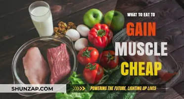 Affordable Muscle-Building Foods: Budget-Friendly Diet for Strength Gains