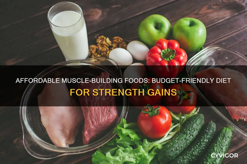 what to eat to gain muscle cheap