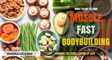 Fuel Your Gains: Top Muscle-Building Foods for Bodybuilding Success