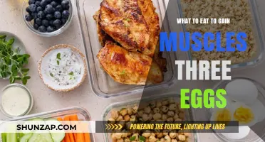 Fuel Your Muscle Growth: Three Eggs and More for Strength