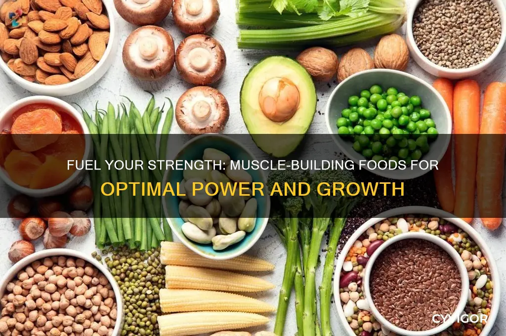 what to eat to gain strength and muscle
