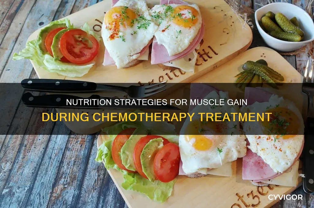 what to eat to gain weight and muscle on chemo