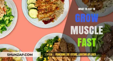 Fuel Your Gains: Top Muscle-Building Foods for Rapid Growth