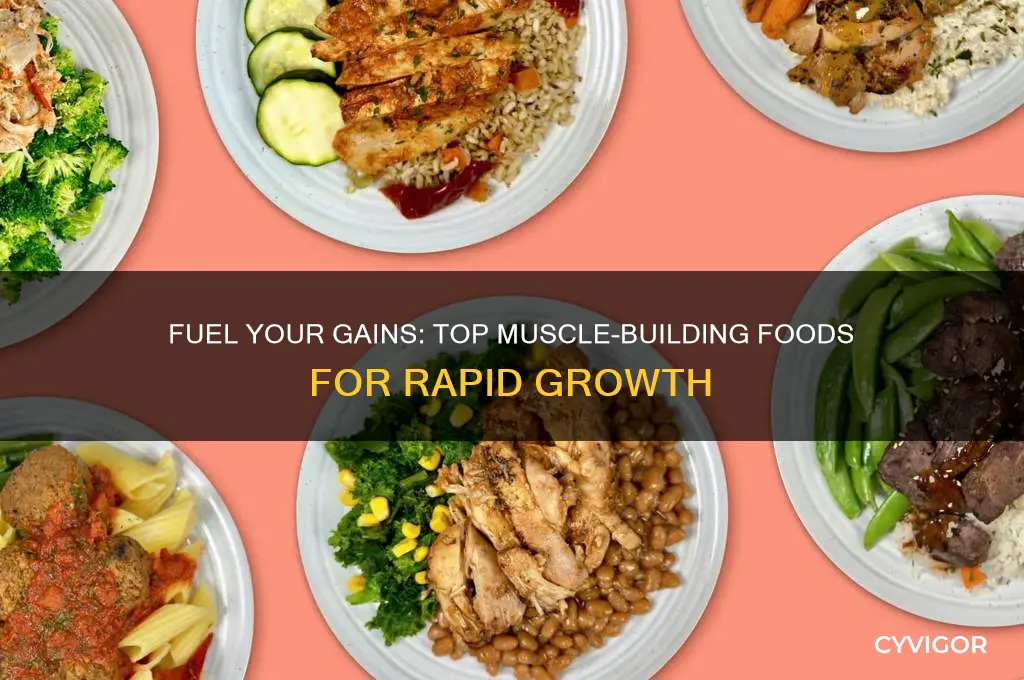 what to eat to grow muscle fast