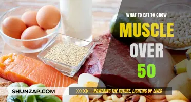 Muscle Building After 50: Optimal Nutrition for Strength & Growth
