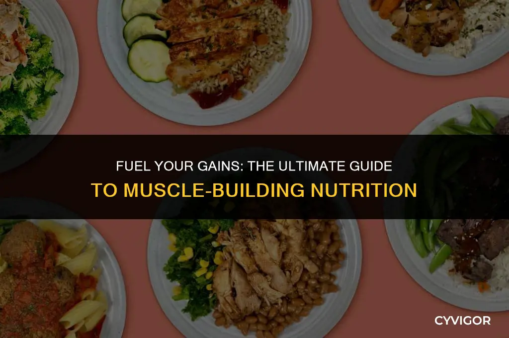 what to eat to help build muscle