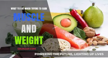 Muscle-Building Meals: High-Calorie Foods for Weight Gain and Strength