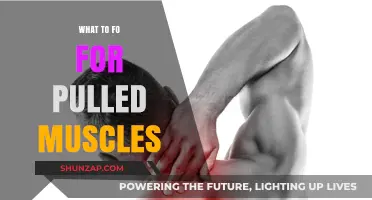 Effective Remedies and Recovery Tips for Pulled Muscles: A Guide