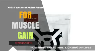 Choosing the Right Protein Powder for Optimal Muscle Growth