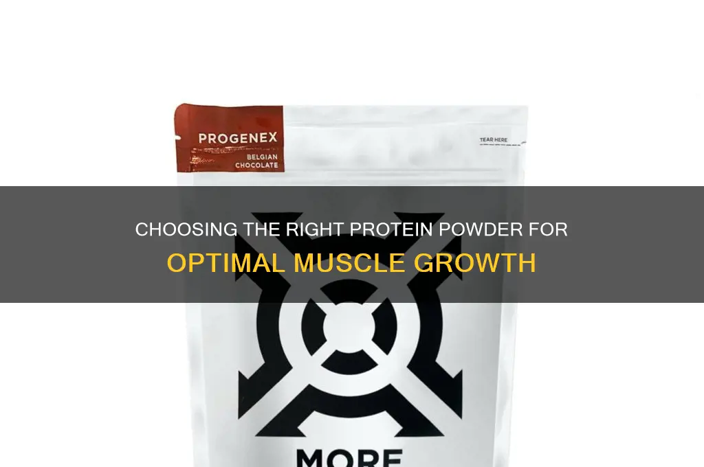what to look for in protein powder for muscle gain