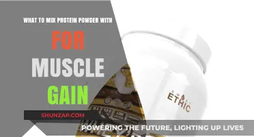 Best Protein Powder Mixes to Fuel Muscle Growth Effectively