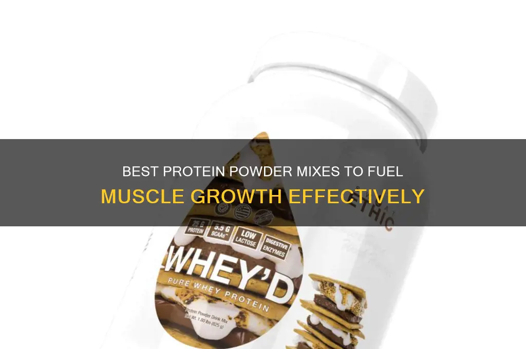 what to mix protein powder with for muscle gain