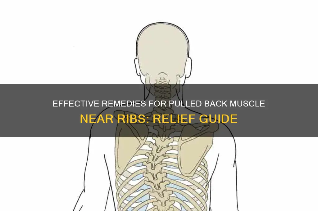 what to put on pulled back muscle by ribs