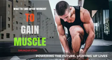 Post-Workout Muscle Fuel: Essential Nutrients for Optimal Growth