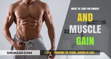 Fuel Your Gains: Top Supplements for Energy and Muscle Growth