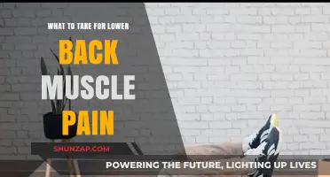 Effective Remedies for Lower Back Muscle Pain Relief and Recovery