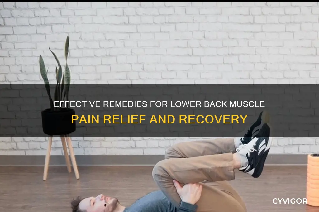 what to take for lower back muscle pain