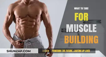 Unlock Your Potential: The Ultimate Guide to Muscle Building Supplements