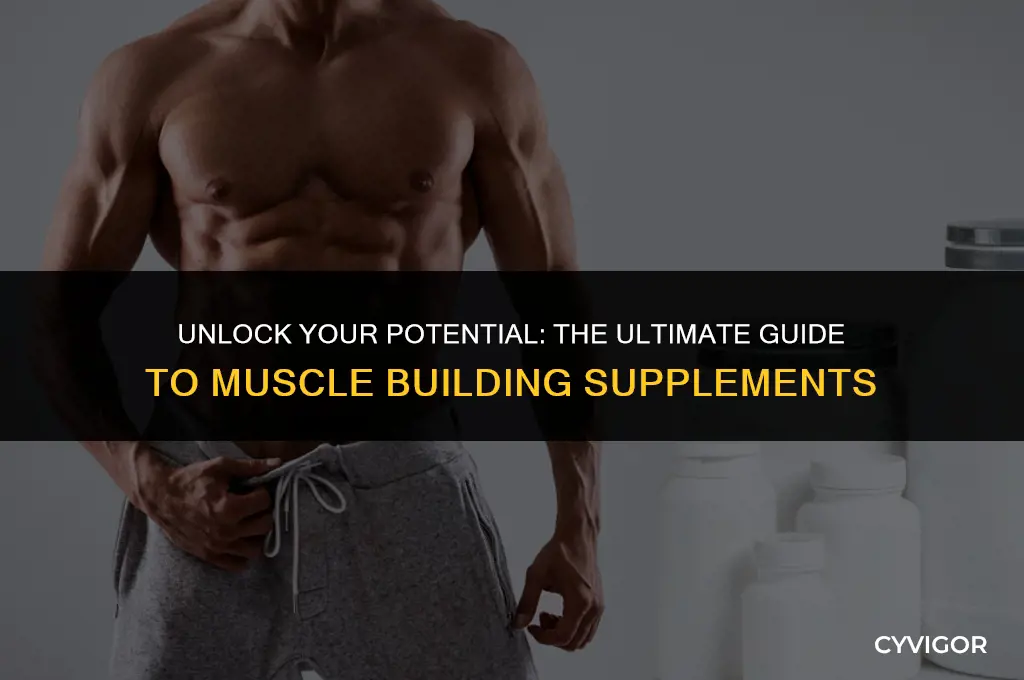 what to take for muscle building